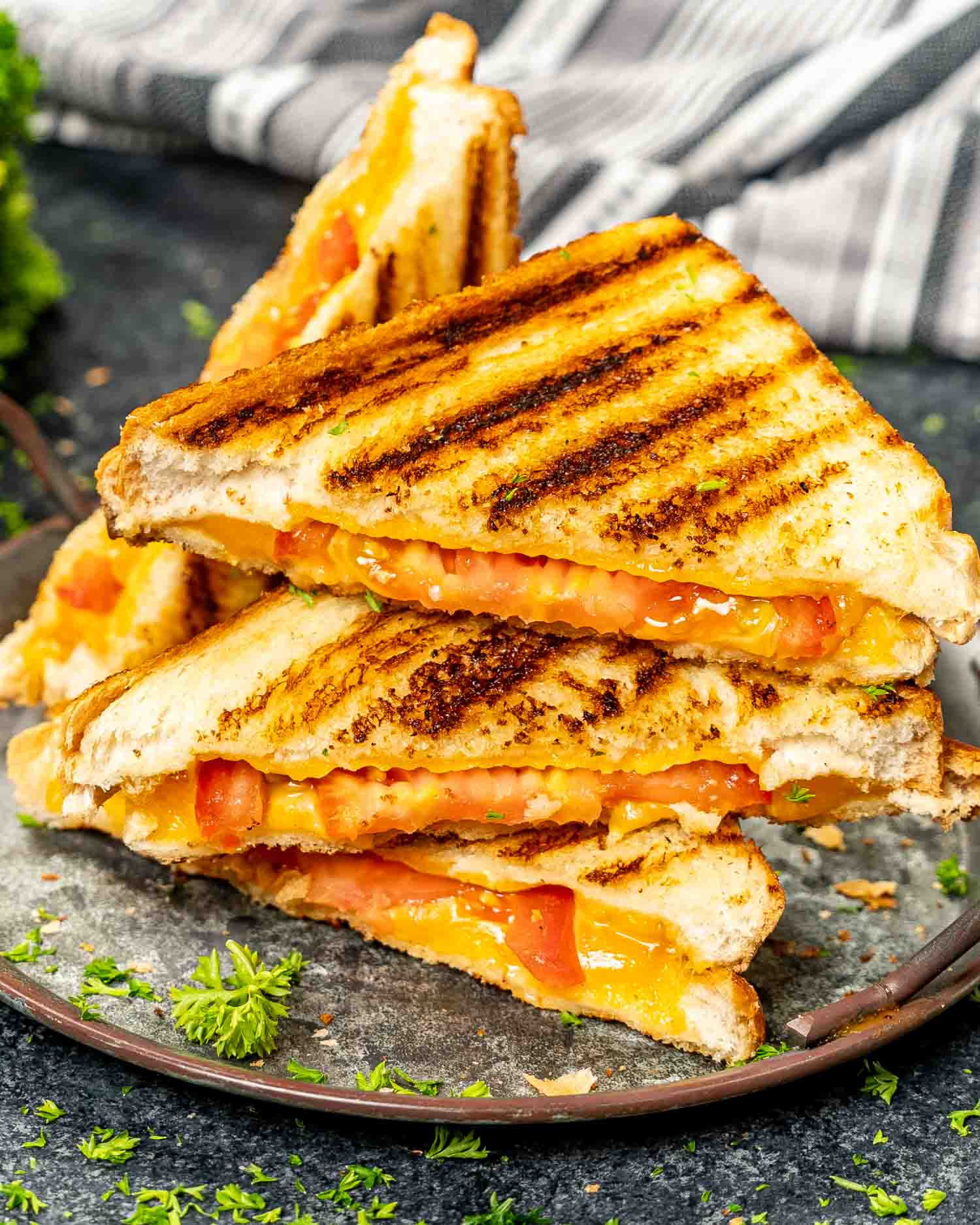 Grill Sandwich 2